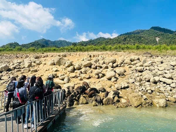 嘉義縣獎勵旅行社送客到嘉義 總計送出百萬獎金 歡迎遊客可以常常「回嘉」