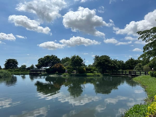 獨角仙繁殖季節到 明華溼地生態園區成觀賞秘境