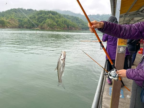 曾文水庫追景好時機 老鷹龍捲風超吸睛