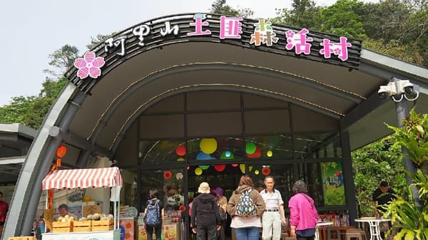 來嘉感受最閃耀、夢幻的螢光派對登場 嘉義縣文觀局精選賞螢景點
