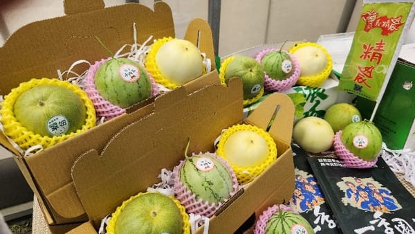 手掌大迷你小甜瓜 西瓜「定植活動」！一季園主助半路從農小夫妻重新學習
