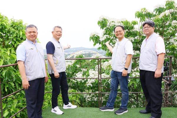 桐花與盧山橋輝映成獨「嘉」美景！2025嘉義市桐花祭浪漫登場