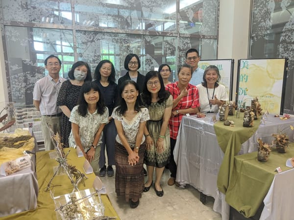 南應大展現新生活美學---「美的沉思策展」大受矚目